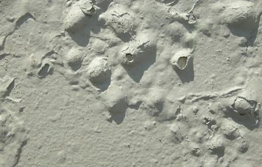 Estimasi Biaya Renovasi Dinding Rumah 4 Biaya Renovasi Dinding Rumah