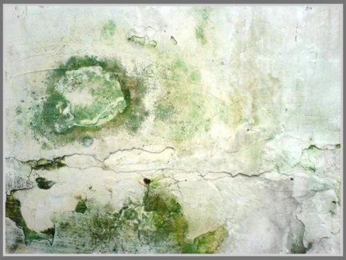 Estimasi Biaya Renovasi Dinding Rumah 6 Biaya Renovasi Dinding Rumah